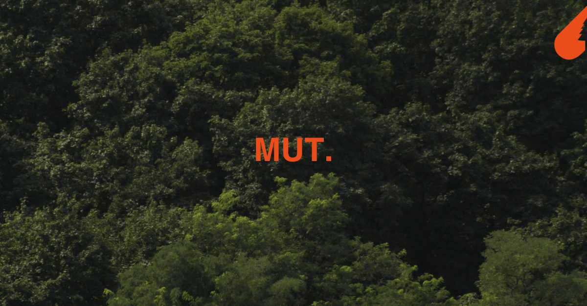 Bild Bäume und Titel "Mut"