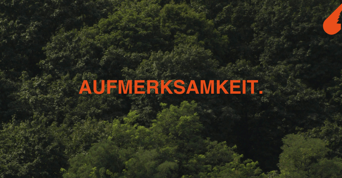 Aufmerksamkeit: Wenn Energie der Aufmerksamkeit folgt